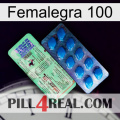 Femalegra 100 new02